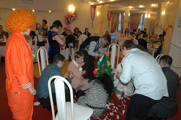 Новый год 2013